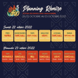 AMAFRO 3 - PLANNING REMIRE